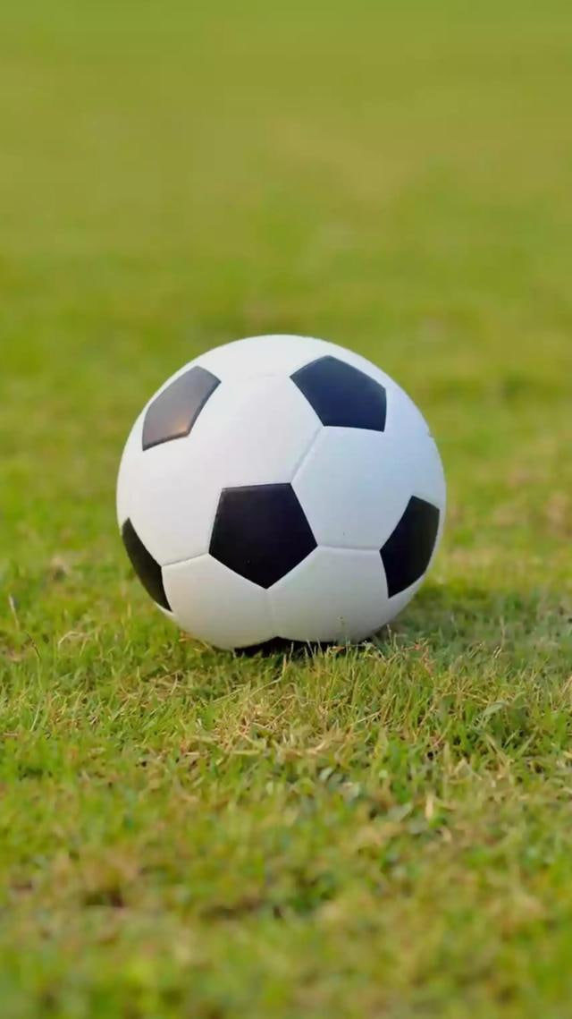 专业玩家高级分析工具